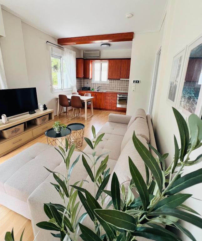 Emerald Lake Loft - Chambres d'hôtes Athènes