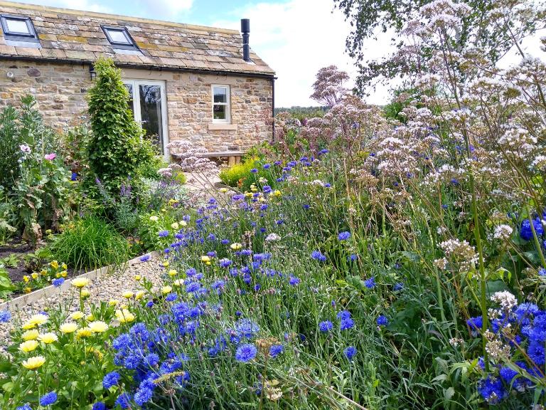 Birch Bothy, peaceful rural retreat - B&B Hexham