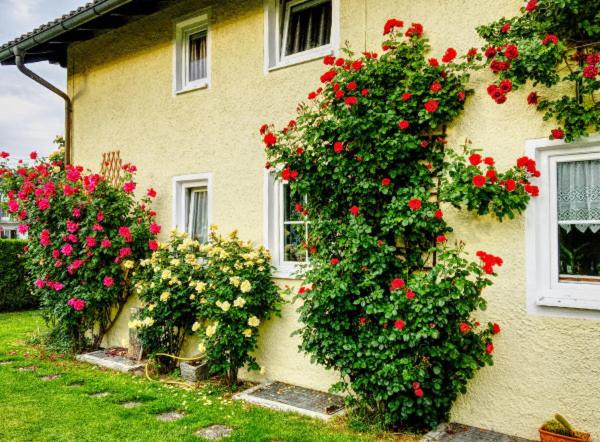 Prestige-Apartment-Chiemsee - Ferienwohnung Prien am Chiemsee