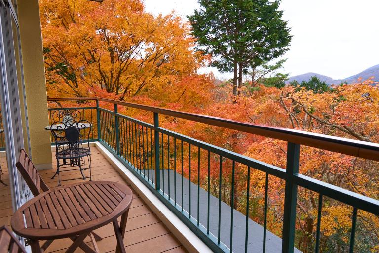美術の宿 箱根もみじの森 - Ferienwohnung Hakone