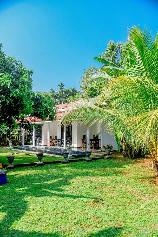 Eco Friendly Lodge - Ferienwohnung Udawalawa