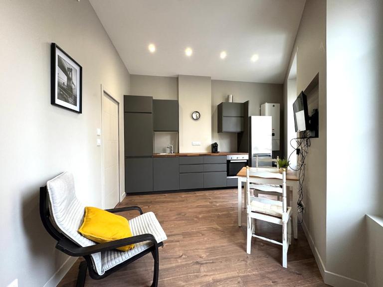 Appartement agréable proche gare - B&B Vienne