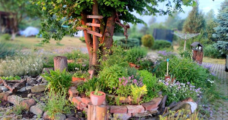 Żurawisko - Domki wśród natury - B&B Jesiona