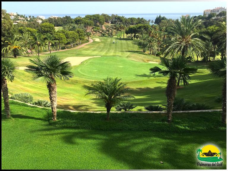 Palmeras del Golf - Torrequebrada - Chambres d'hôtes Benalmádena