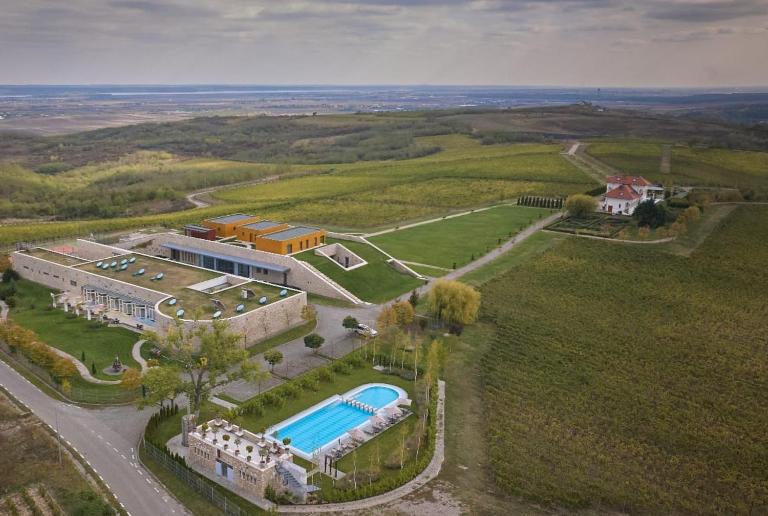 Domeniul Vila Dobrusa - Crama AVINCIS - Bed and Breakfast Drăgăşani