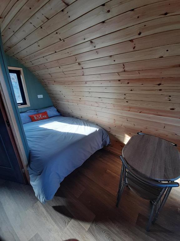 SeaView Wild Atlantic Pod - Bed and Breakfast Doolin