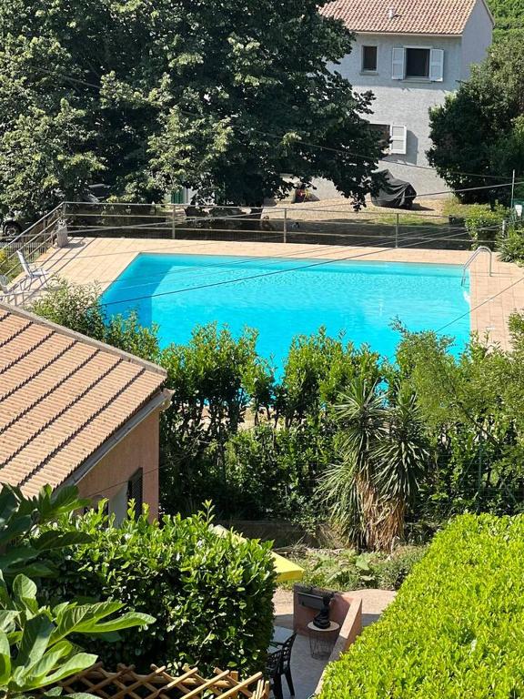 Le petit mauricia - B&B San-Nicolao