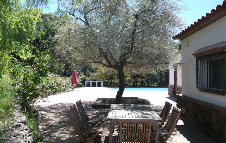 Los Olivos - B&B Sayalonga