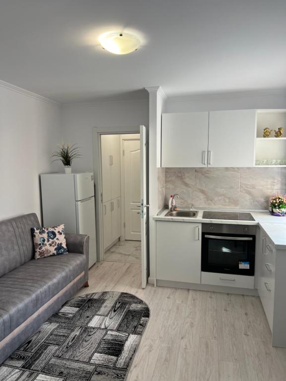 Apartament Ultracentral - B&B Rădăuți