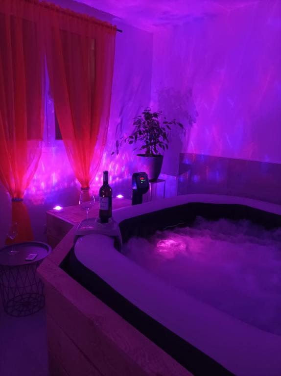 " L'instant Nid d'où " , Spa et Luxe Intime - Ferienwohnung Baneuil