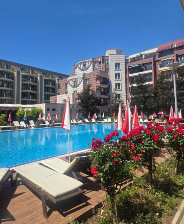 Студия в Болгарии Солнечный берег - B&B Sunny Beach