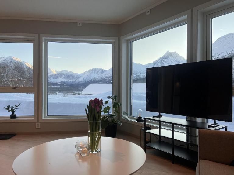 Mountain View apartment - Chambres d'hôtes Isfjorden