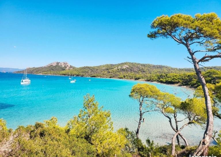 Studio 4 personnes sur la Presqu'île de Giens avec piscine et accès direct sur la plage - Bed and Breakfast Hyères
