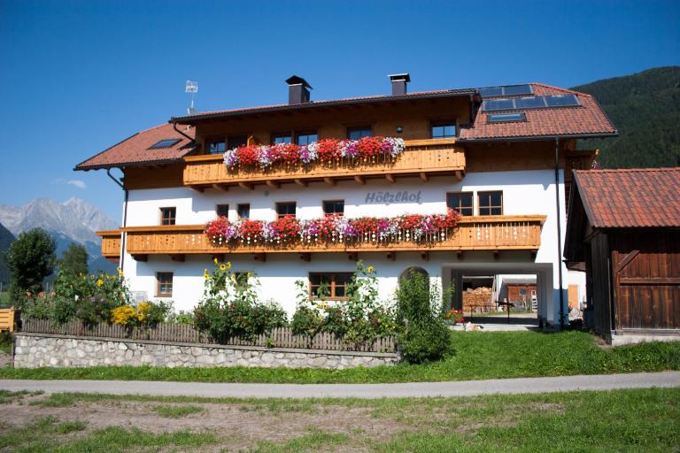 Hölzlhof Apartments - Ferienwohnung Oberrasen