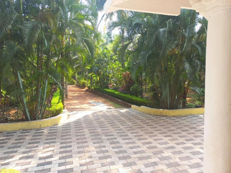 greenview homestay Mayyil - B&B Parassinikkadavu