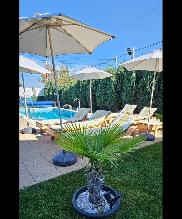 Danube Home - B&B Ostrovu Corbului