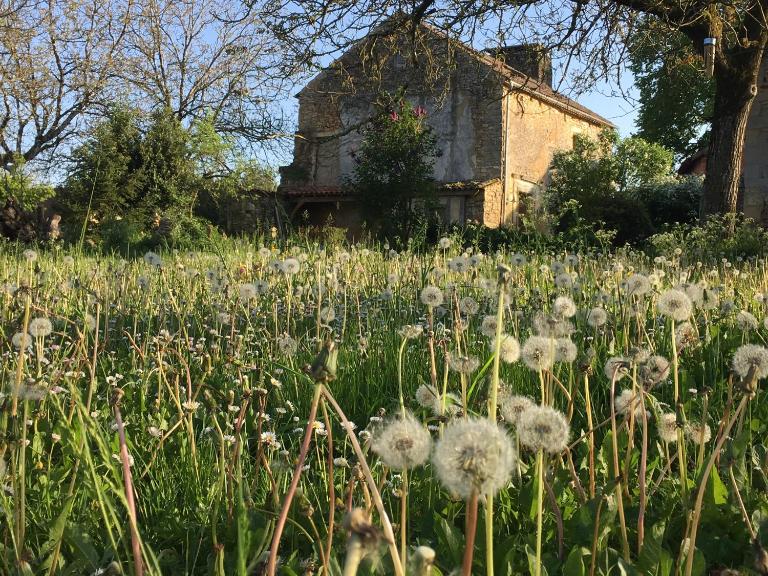 Grande chambre renaissance - Bed and Breakfast La Celle-sous-Gouzon