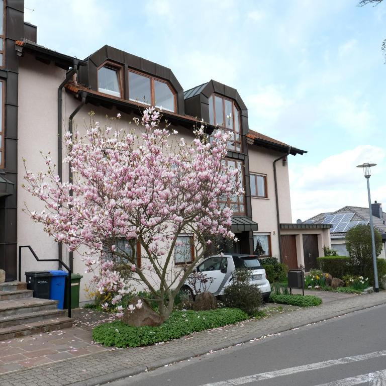 Ferienwohnung Unter dem Schwalbennest - Bed and Breakfast Wachenheim