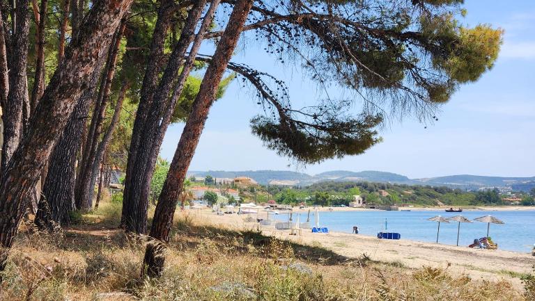 Pine Beach holiday home 2 bedrooms 50 meters to the beach - B&B Kalýves Polygýrou