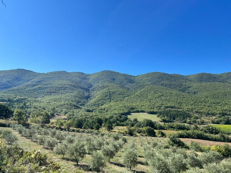 Le Grand Hermas - Ferienwohnung Saint-Martin-de-Castillon