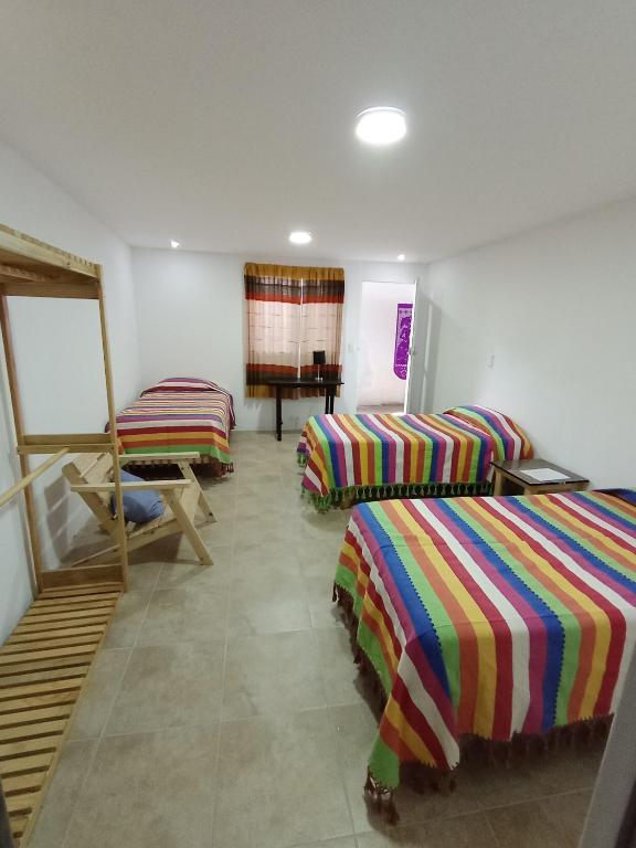 Iguana Coliving - B&B Oaxaca de Juárez