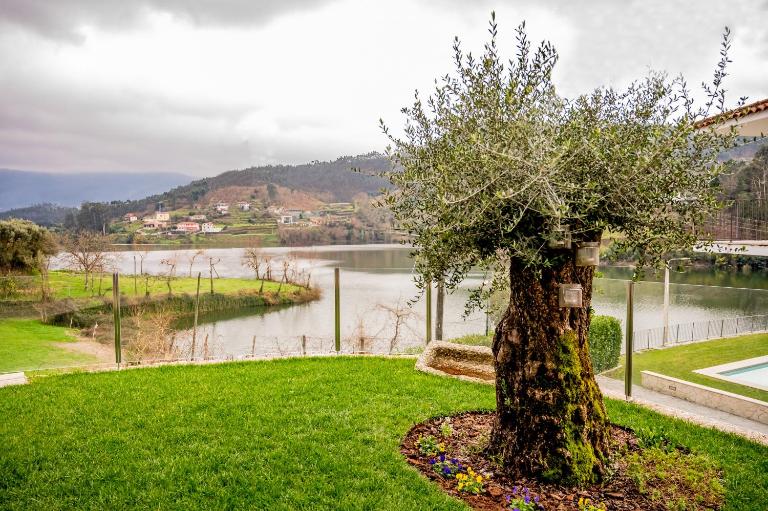 Casa das Oliveiras - B&B Vieira do Minho