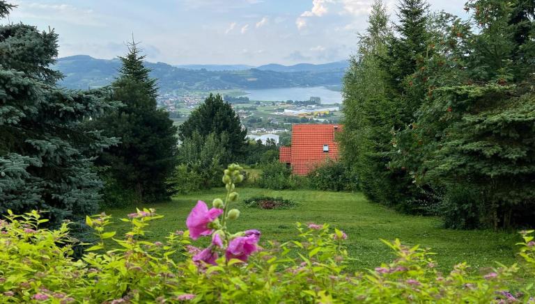 Domek z widokiem na jezioro Rożnowskie - Chambres d'hôtes Białowoda