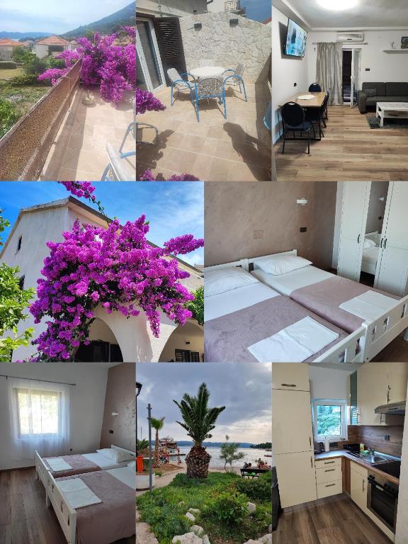 Apartmani Mraz - B&B Orebić