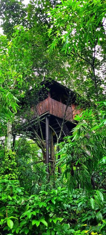 Greens Tree House & Wood House - B&B Ganapathivattam