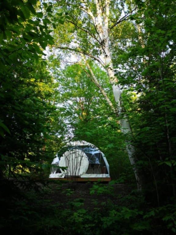 Dôme Forestier - Expérience Glamping détente - Chambres d'hôtes Saint-Philémon