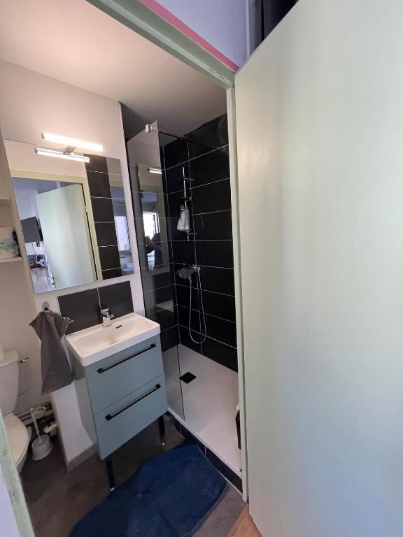 Studio Cosy centre ville Grenoble - B&B Grenoble