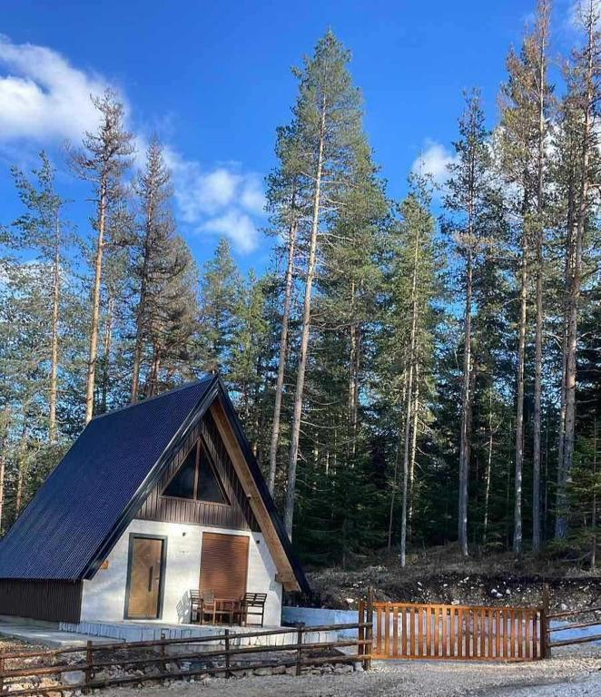 Pine Retreat - B&B Zabljak