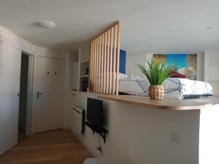 Studio atypique et chaleureux coeur d'Ancenis - Ferienwohnung Ancenis