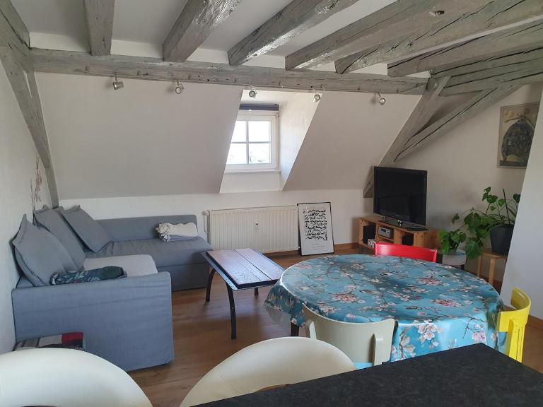 Mon Ptit Nid T3 Duplex au coeur de la Krutenau - Chambres d'hôtes Strasbourg
