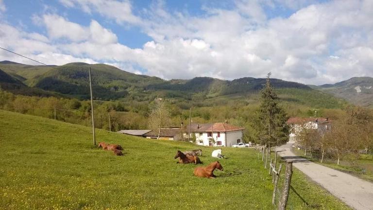 La Lissandra Agriturismo House - Ferienwohnung Palagano