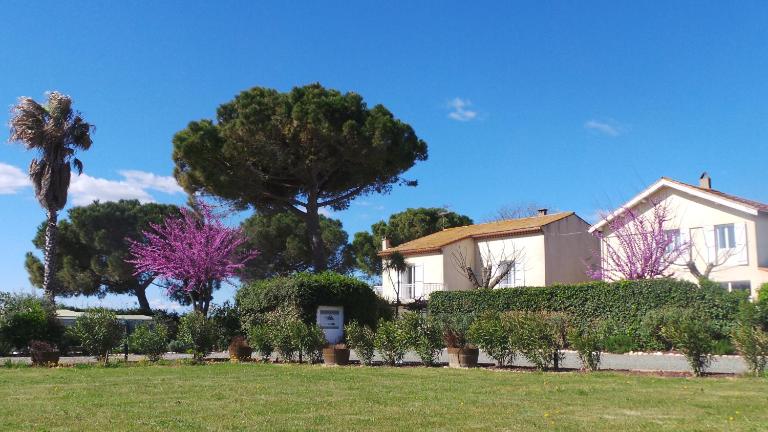 A l'Orée Des Vignes - Bed and Breakfast Montady