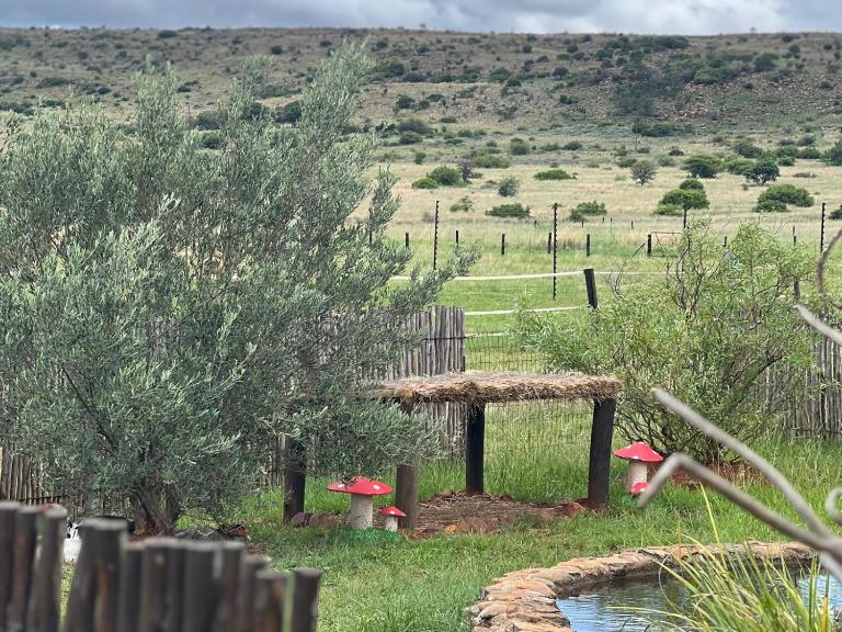 Sanctuary life guest farm - Chambres d'hôtes Magaliesburg