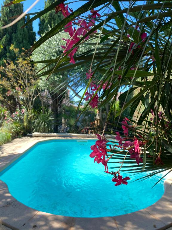 V0544 - Vias Plage - 85m2 villa avec jardin, piscine privé dans résidence - Chambres d'hôtes Vias