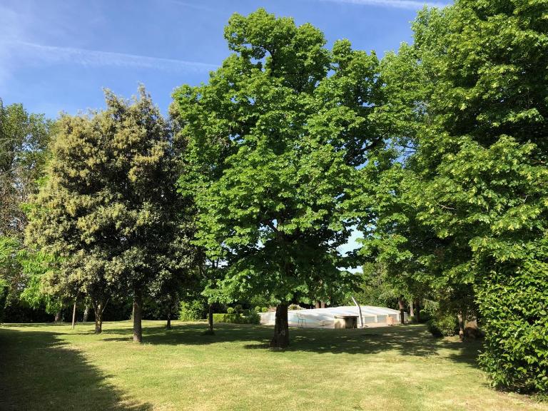 Périgourdine avec piscine, nature & bastides - Ferienwohnung Faux-en-Périgord
