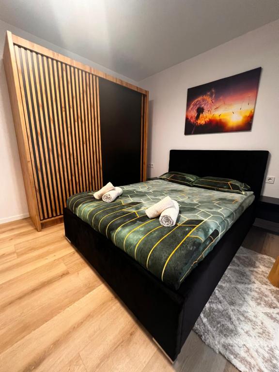 Sunrise apartment - B&B Baia Mare