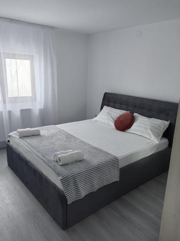 SorinaApartament2 - B&B Târgu Neamţ