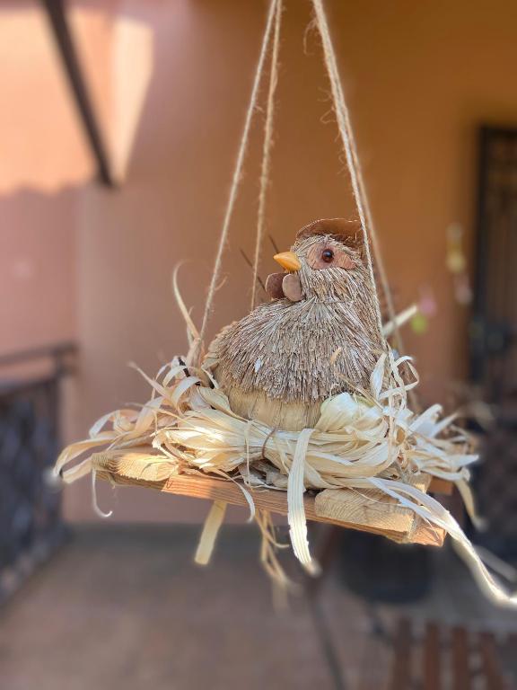 Tuscany Location - B&B Marta