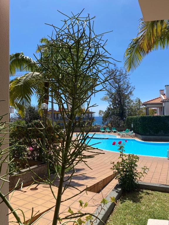 Varandas do Funchal - B&B Funchal