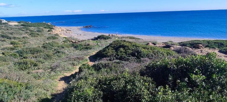 la casa de la playa - B&B Alcaidesa