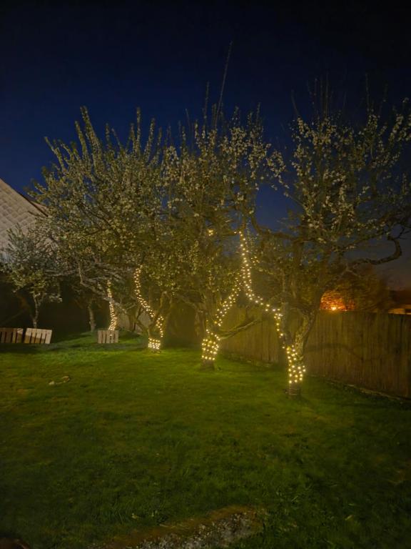Le Sanctuaire des Etoiles - Ferienwohnung Rohrbach-lès-Bitche