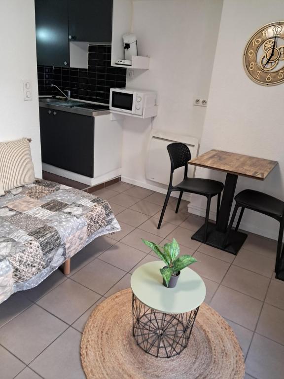 STUDIO 1 personne dans le centre historique - Bed and Breakfast Le Puy-en-Velay