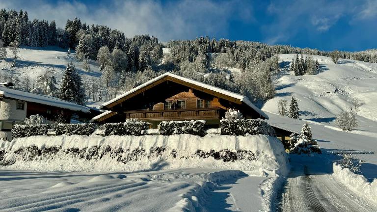 Living Apartments Saalbach incl Joker Card in Summer - Chambres d'hôtes Saalbach