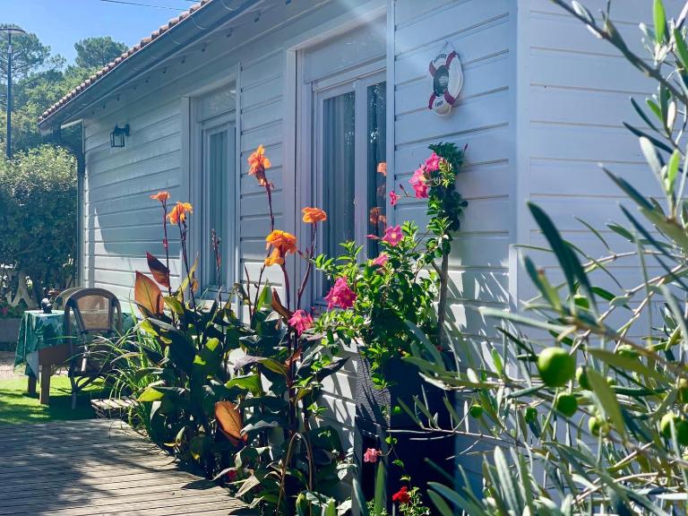 La Mandragore - B&B La Teste-de-Buch