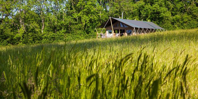 Brocklands Farm Glamping - B&B Petersfield