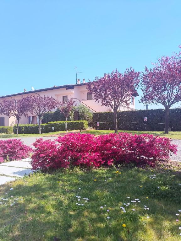 Memy's House bilocale con terrazza - B&B Sirmione
